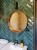 339927589_2509474515857310_442134801715562662_n.jpg